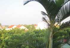 Lain-lain 2 Hoi An Moon Homestay