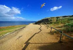 Others 4 Elegant Apartment on the Island Sylt With Heating and Garden