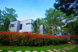 Terracotta Villa Tuyen Lam Lake Dalat, SGD 119