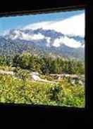 null Blue Mountain Lodge Kundasang