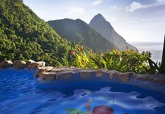 其他 2 Ladera Resort