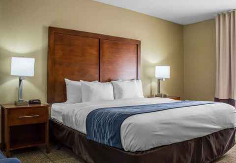 Others Comfort Inn and Suites North Glendale and Peoria