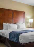 null Comfort Inn and Suites North Glendale and Peoria