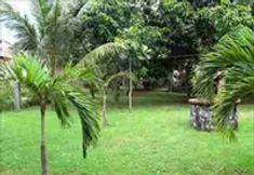 อื่นๆ 5 Thanh Kim Nga Bungalow