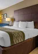 null Comfort Inn Clinton