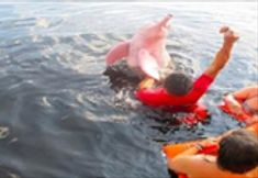 Khác 3 Uiara Amazon Resort (ex Amazon Jungle Palace)