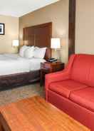 null Comfort Inn & Suites Vancouver Downtown City Center