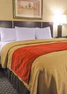 null Comfort Inn and Suites