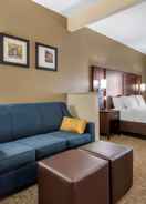 null Comfort Suites Auburn Near I-69