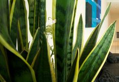 その他 7 Tory Hotel at Century City