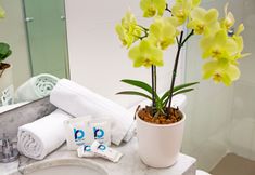 Others 6 Iate Hotel Centro Florianopolis (ex. Plaza Florianopolis)