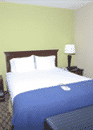 null Wingate by Wyndham Roseville Detroit (ex Holiday Inn Express Hotel & Suites Roseville)