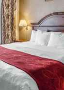 null Comfort Suites Grantville - Hershey North