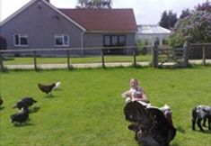 Others 2 Wayside B&B