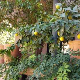 Dar Soulaimane Ourika1 , 飯店本·优素福神学院