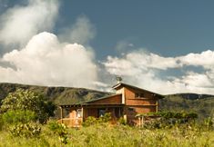 Others 4 Raizando Ecologia Humana