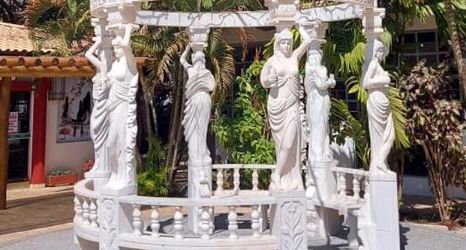 其他 2 DiRoma International