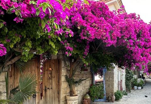 Khác Filizce Konukevi