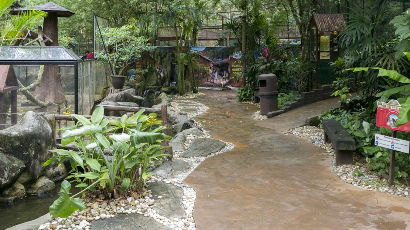 Tambun Lost World Petting Zoo