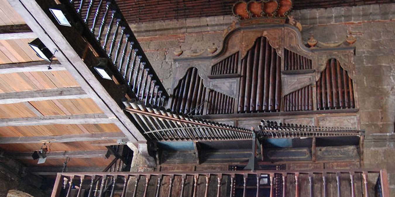 bamboo organ