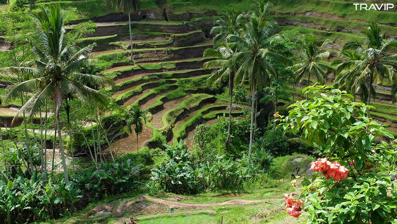 địa điểm du lịch Bali