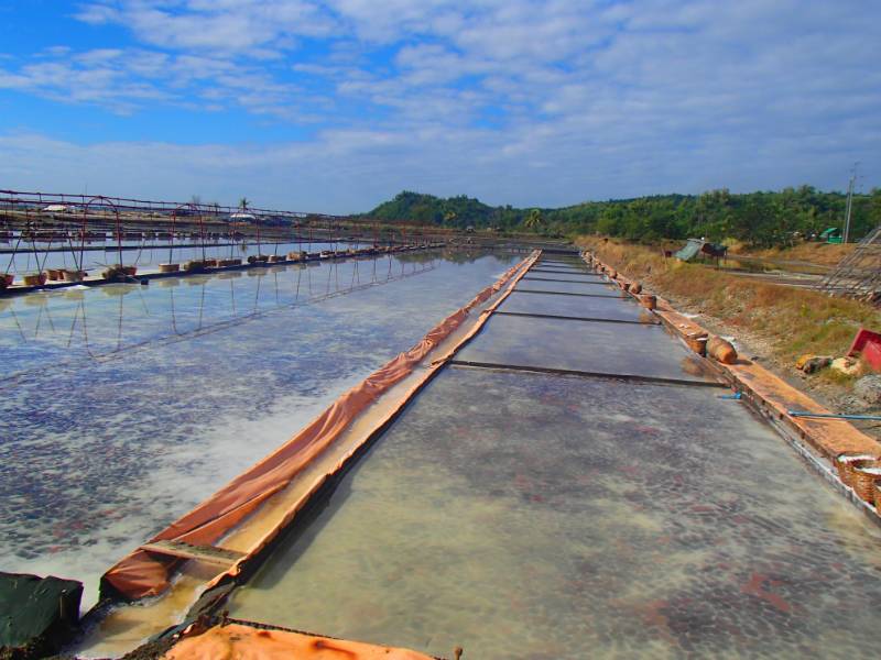 PACIFIC-SALT-FARM