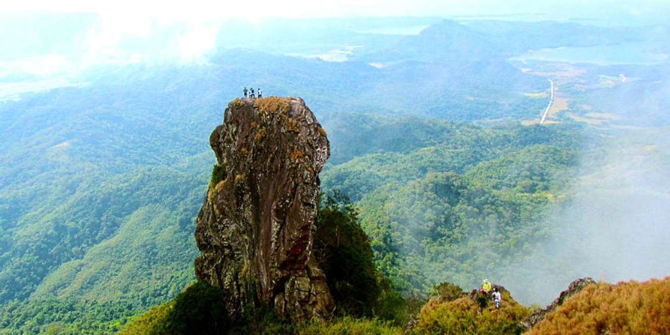 pico de loro