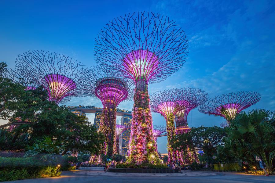 Supertrees