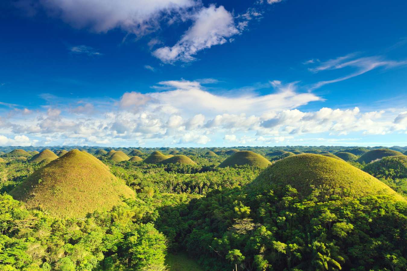 Travel Bohol on a Budget