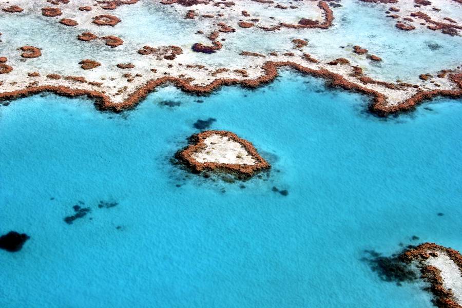 Heart Reef, Great Barrier Reef