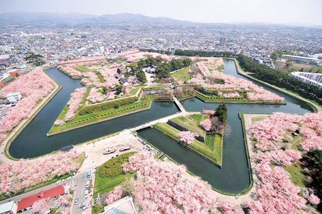 4 địa điểm ngắm hoa anh đào ở Nhật không thể đẹp hơn