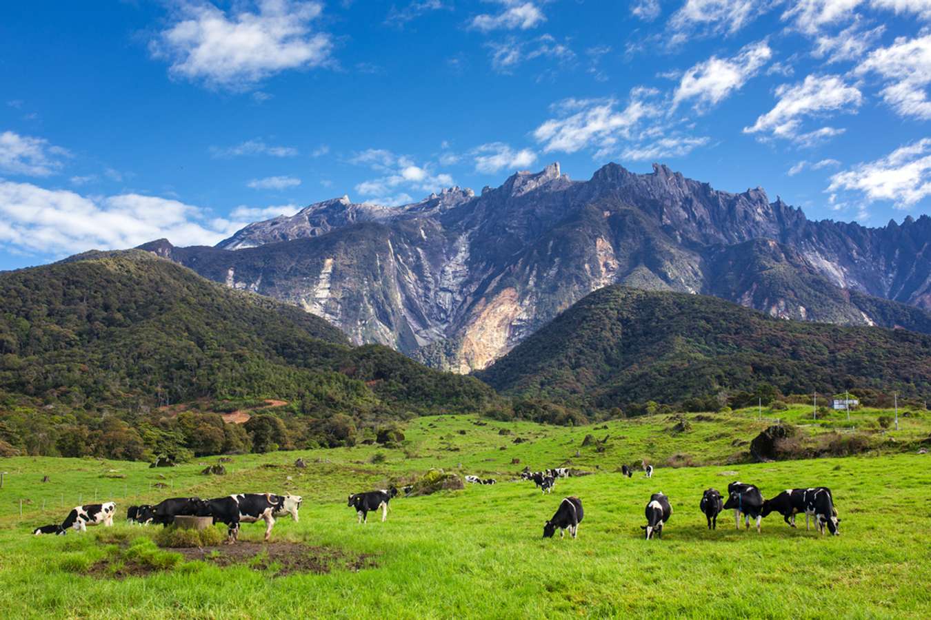 Kundasang Sabah