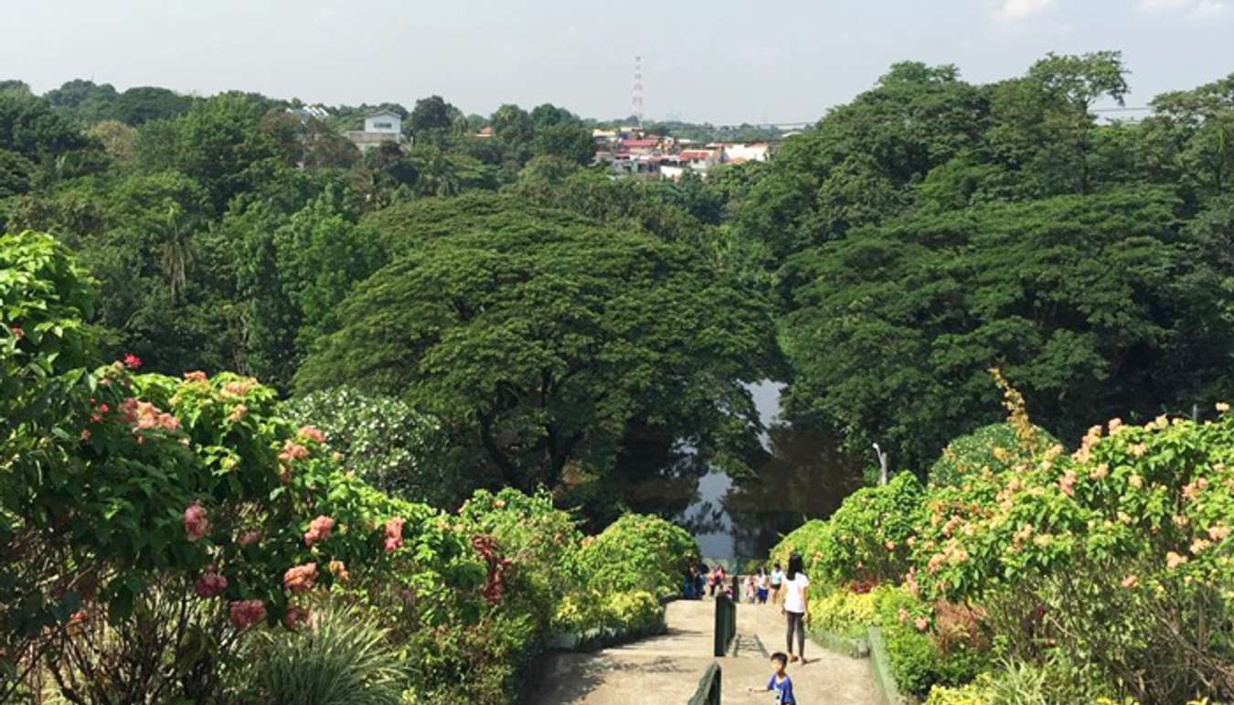 La-Mesa-Eco-Park-steps