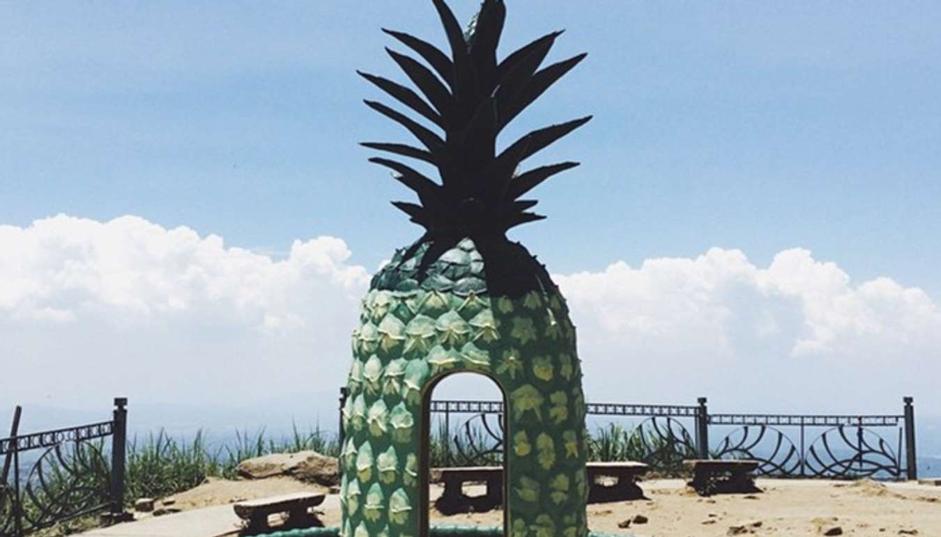 peoples_park_pineapple