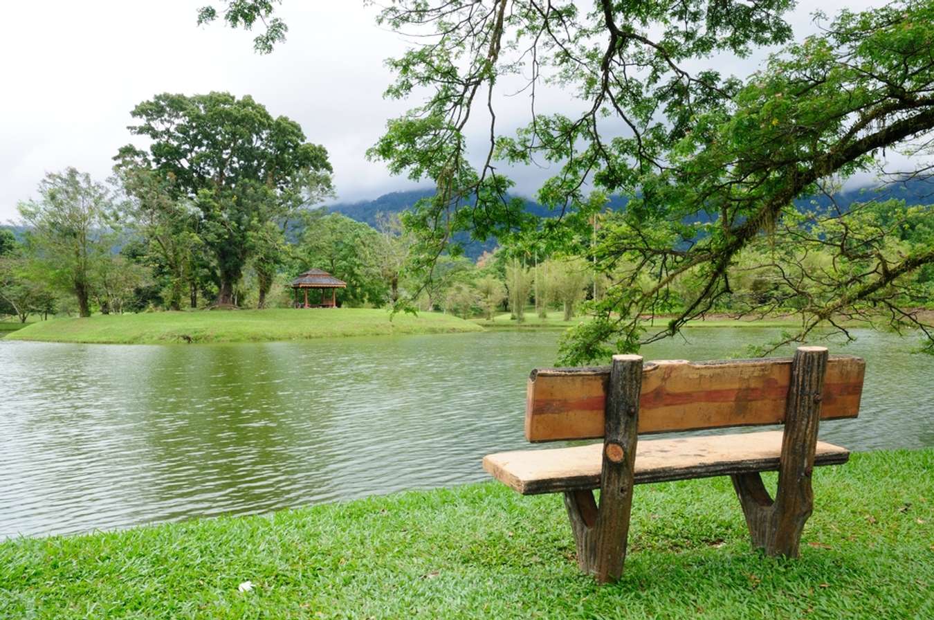 Taiping Lake Gardens