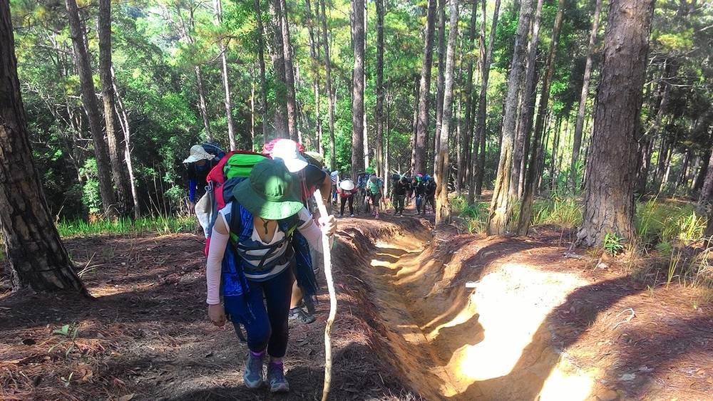 Trekking Tà Năng – Phan Dũng: cung đường trekking đẹp nhất Việt Nam