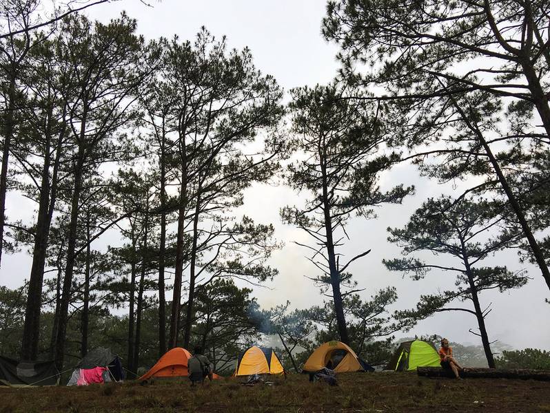 Trekking Tà Năng – Phan Dũng: cung đường trekking đẹp nhất Việt Nam