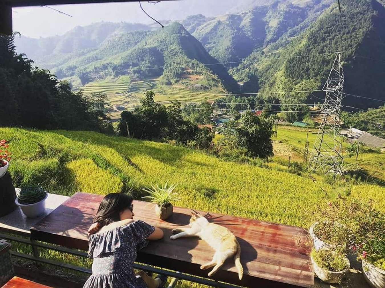 Sapa, check-in, quán cafe view đẹp