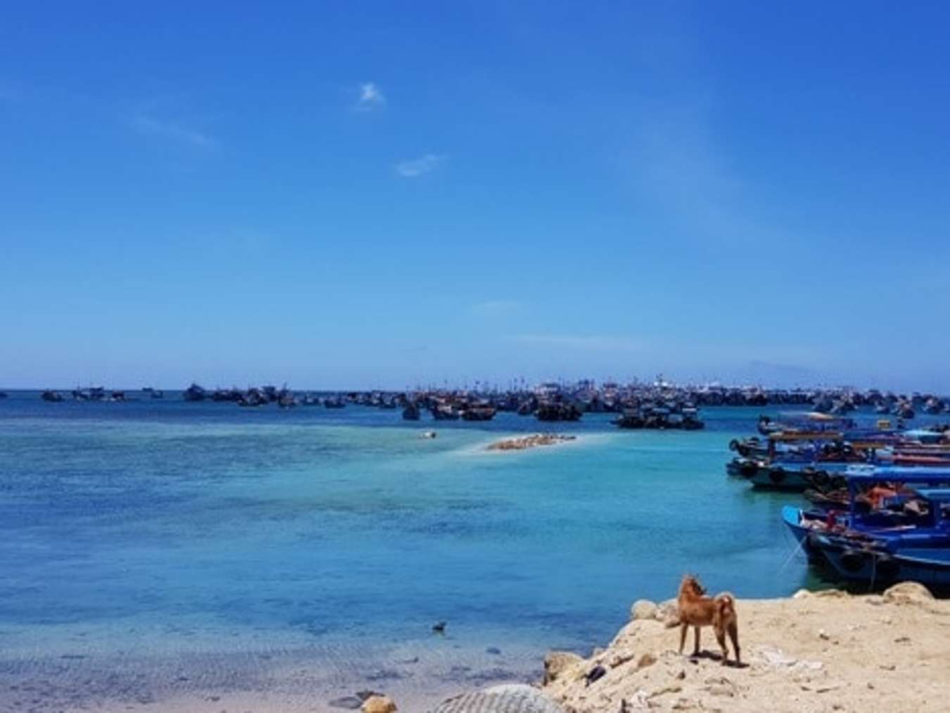 Đảo Phú Quý: nơi đã gieo vào lòng bao thương nhớ