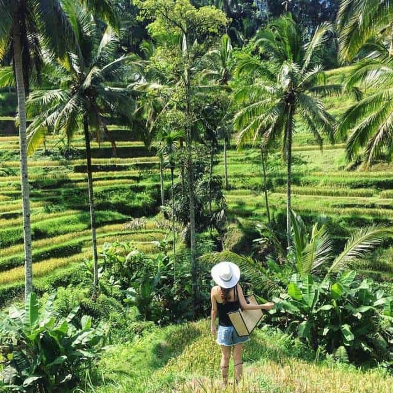 Du lịch Bali: Hãy nhớ tham quan hết các địa điểm này!