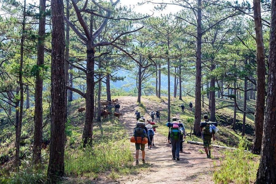Trekking Tà Năng – Phan Dũng: cung đường trekking đẹp nhất Việt Nam