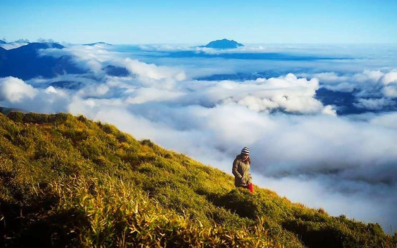 Mt. Pulag National Park