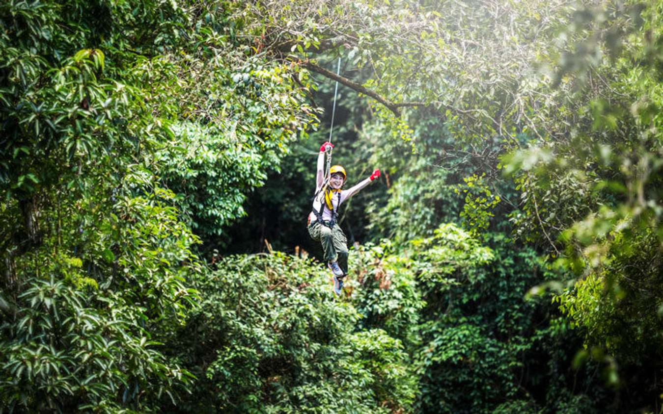 Tree top adventure