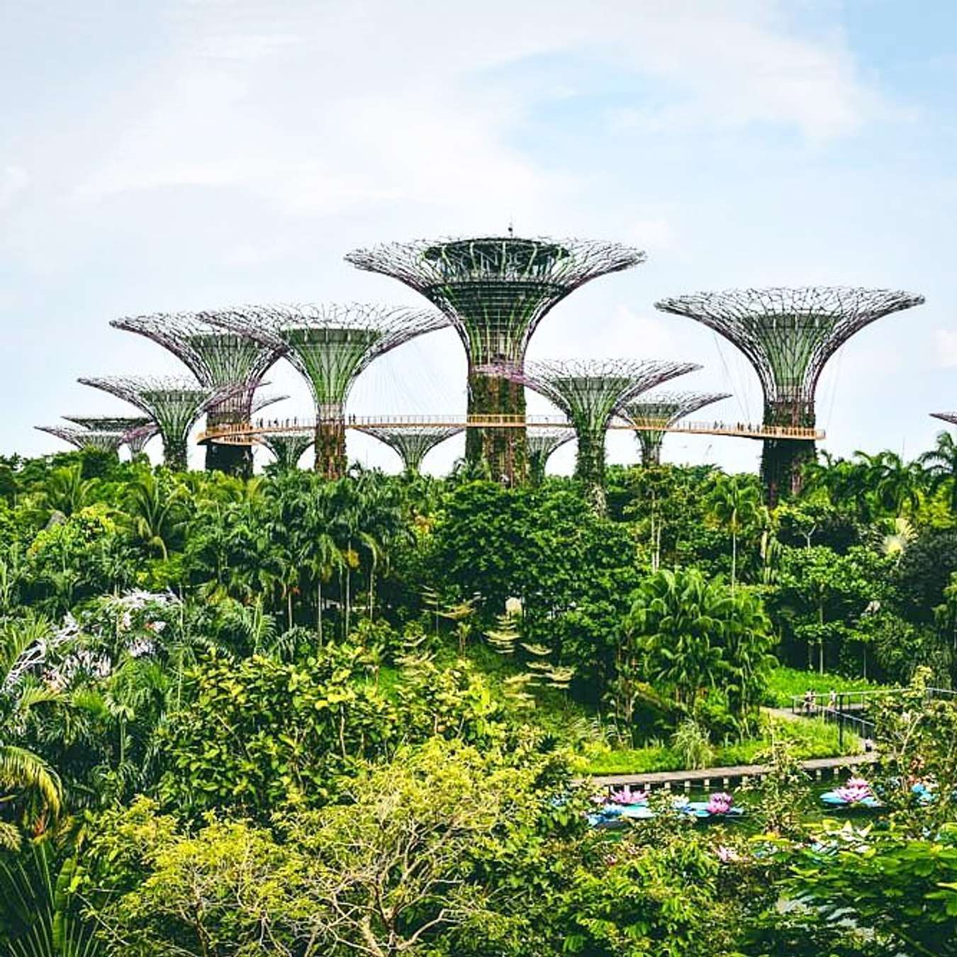 Top 10 địa điểm du lịch Singapore đẹp mê ly mà không mất phí.