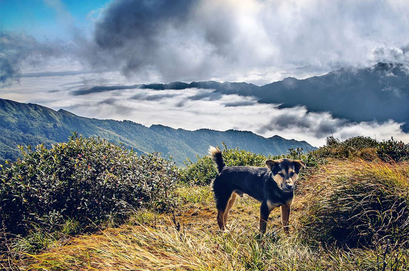 Băng rừng chinh phục đỉnh Lùng Cúng - Mù Căng Chải - Traveloka Golocal