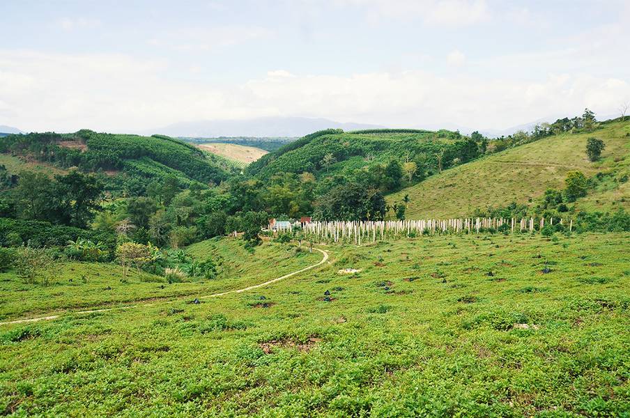 Hành trình khám phá cao nguyên M'Đrăk trong 48 tiếng - Traveloka Golocal 