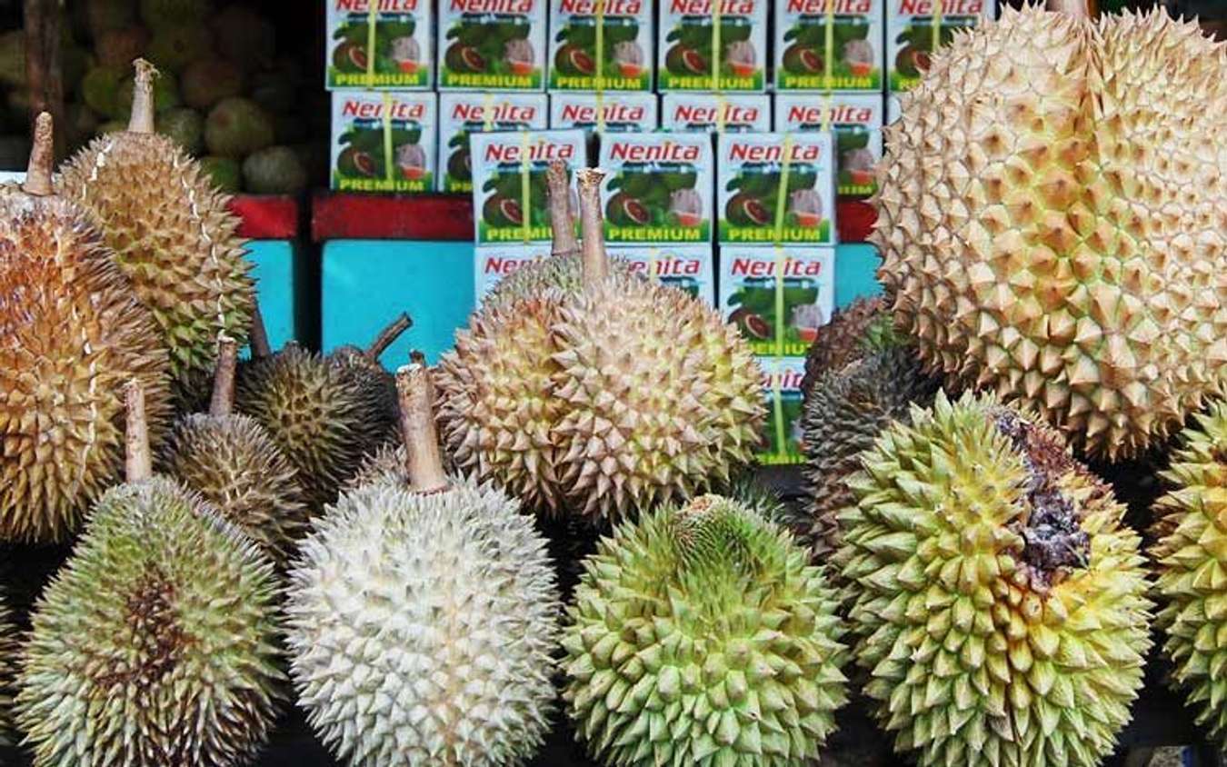 Davao Durian