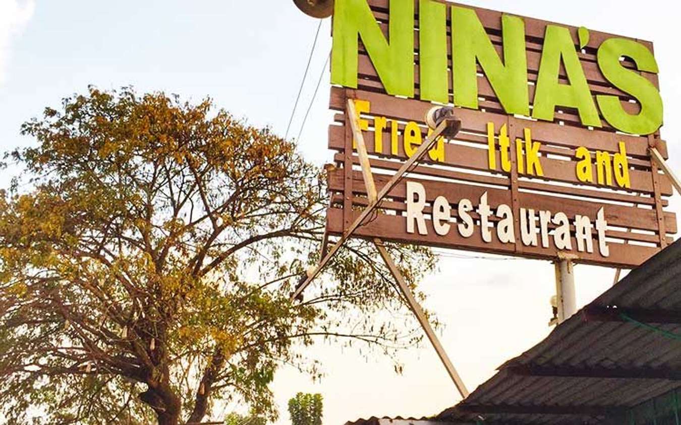 Nina's Fried Itik