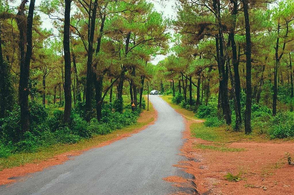 Thiên An - Chốn ma mị bên đồi mộng mơ