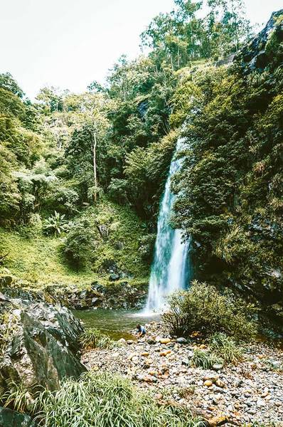 Tuổi trẻ ngại gì mà không trekking Tà Năng - Yaly - Phan Dũng! - Traveloka Golocal 